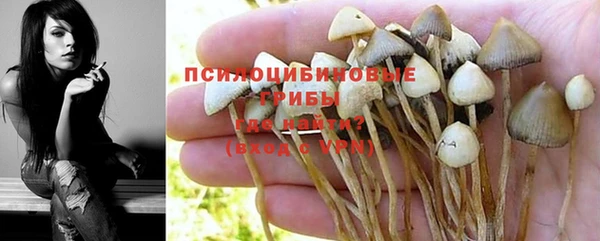 PSILOCYBIN Няндома