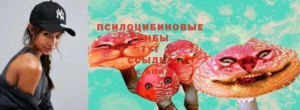спиды Алексин