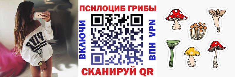 Псилоцибиновые грибы Psilocybe  купить наркотики сайты  OMG ONION  Железноводск 